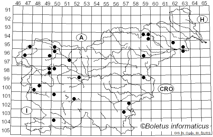 <i>Calycina</i> Nees ex Gray (1821)