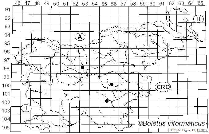 <i>Cribraria mirabilis</i> (Rostaf.) Massee (1892)