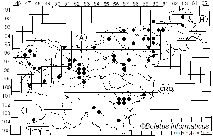 <i>Phylloporus rhodoxanthus</i> (Schwein.) Bres. (1900)