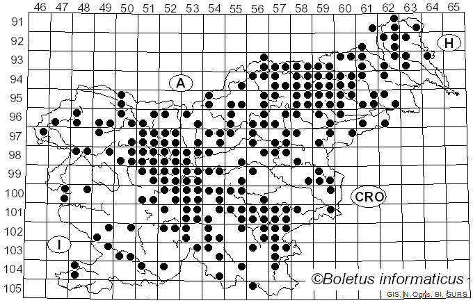 <i>Xerocomellus chrysenteron</i> (Bull.) Šutara (2008)