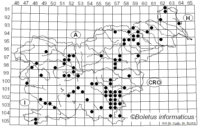 <i>Sebacina</i> Tul. & C. Tul. (1871)
