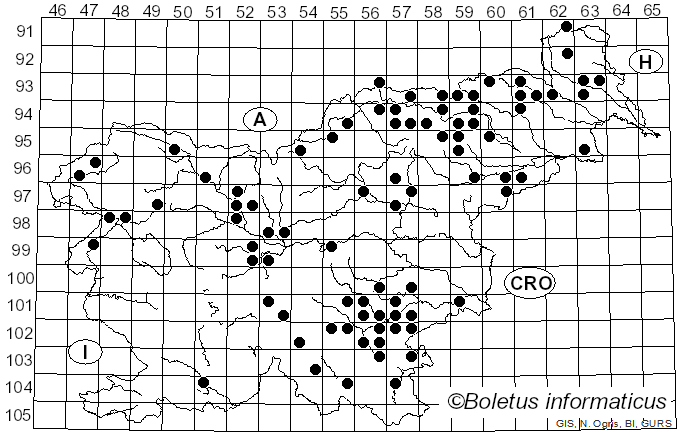 <i>Cyanoboletus pulverulentus</i> (Opat.) Gelardi, Vizzini & Simonini (2014)