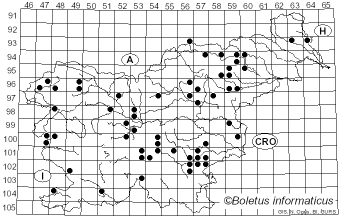 <i>Hebeloma mesophaeum</i> (Pers.) Quél. (1872)