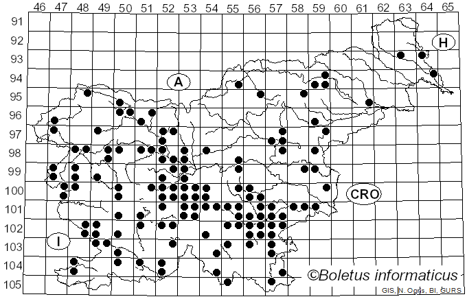 <i>Cortinarius praestans</i> (Cordier) Gillet