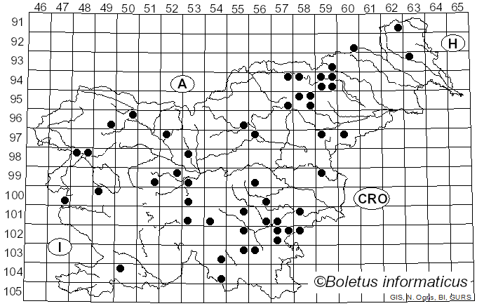 <i>Hyphoderma</i> Wallr. (1833)