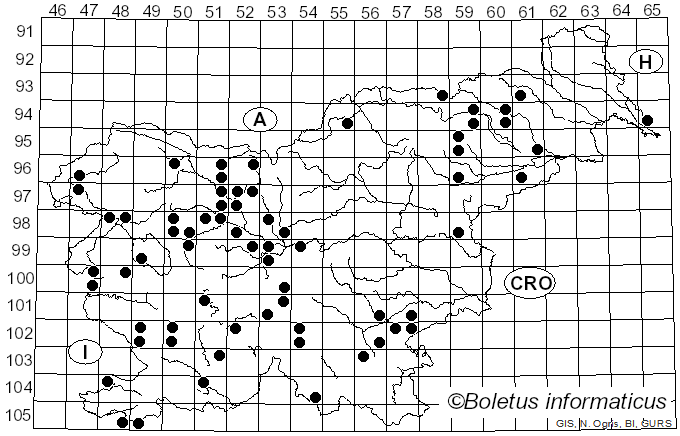 <i>Mutinus</i> Fr. (1849)