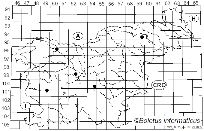 <i>Taphrina carpini</i> (Rostr.) Johanson (1886)