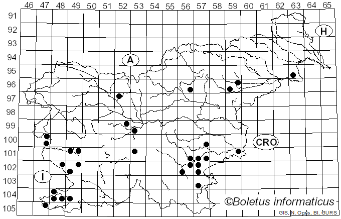 <i>Cyclocybe cylindracea</i> (DC.) Vizzini & Angelini (2014)