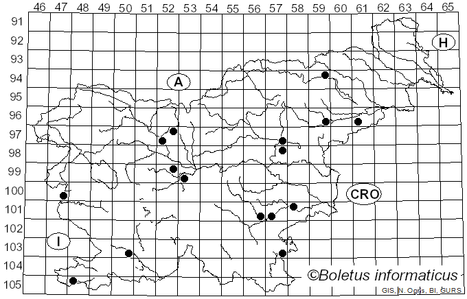 <i>Volvariella pusilla</i> (Pers.) Singer (1951)