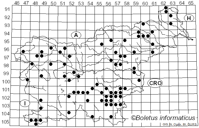 <i>Lactarius acris</i> (Bolton) Gray (1821)