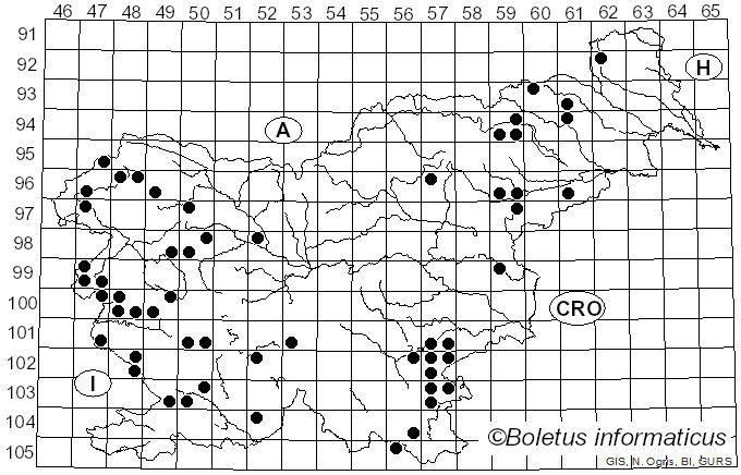 <i>Calonarius</i> Niskanen & Liimat. (2022)