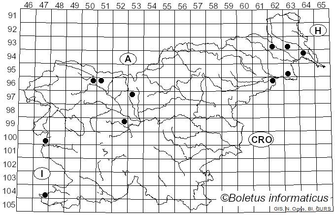 <i>Hysterium</i> Pers. (1797)