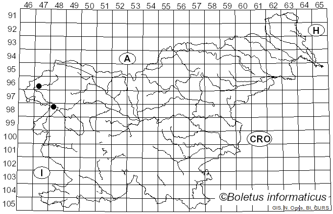 <i>Chromosera cyanophylla</i> (Fr.) Redhead, Ammirati & Norvell (1995)