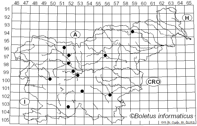 <i>Ditiola</i> Fr. (1822)