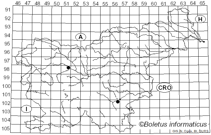 <i>Lepiota subgracilis</i> Wasser (1978)