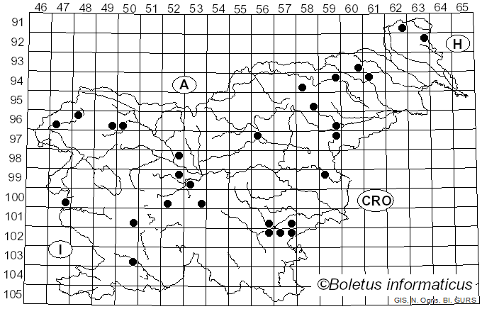 <i>Thelephora caryophyllea</i> (Schaeff.) Pers. (1801)