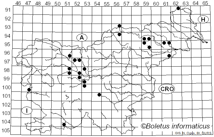 <i>Lanzia echinophila</i> (Bull.) Korf (1982)