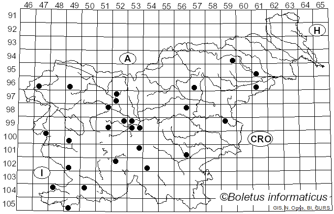 <i>Hygrocybe quieta</i> (Kühner) Singer (1951)
