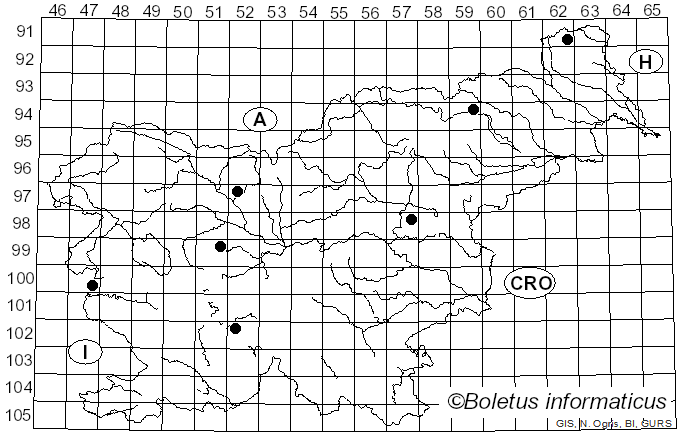 <i>Entoloma niphoides</i> Romagn. ex Noordel. (1985)