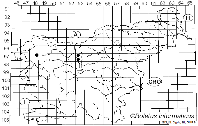 <i>Nodulosphaeria dolioloides</i> Auersw. (1863)