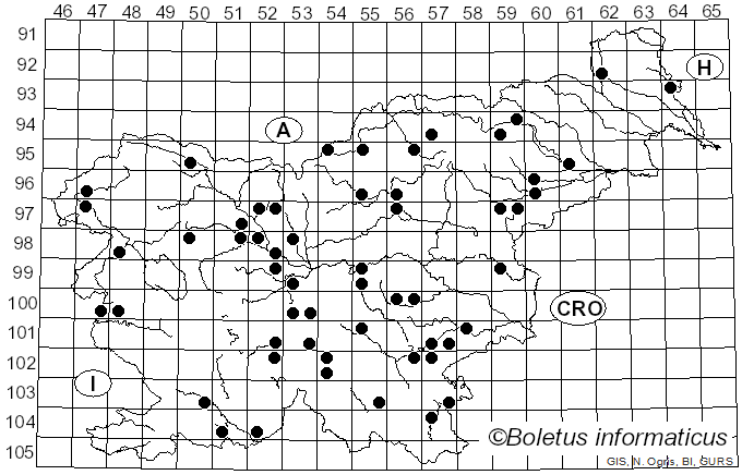 <i>Delicatula integrella</i> (Pers.) Fayod (1889)