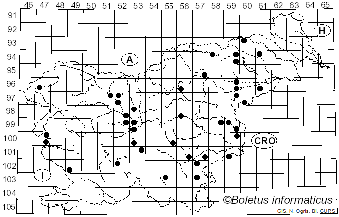 <i>Lepiota castanea</i> Quél. (1881)