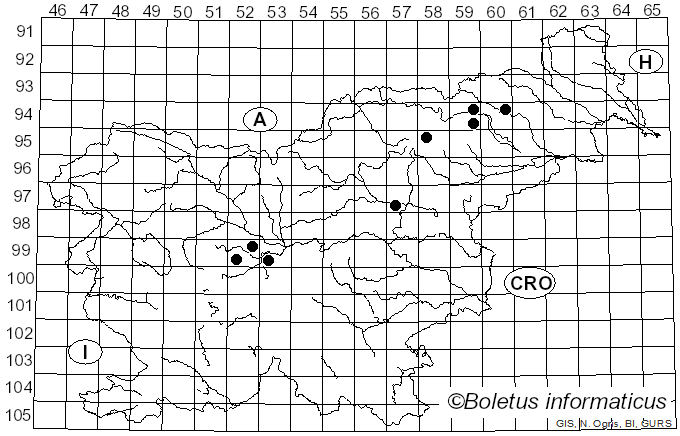 <i>Tricholoma hordum</i> (Fr.) Quél. (1872)