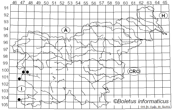 <i>Puccinia aristolochiae</i> Henn. (1884)