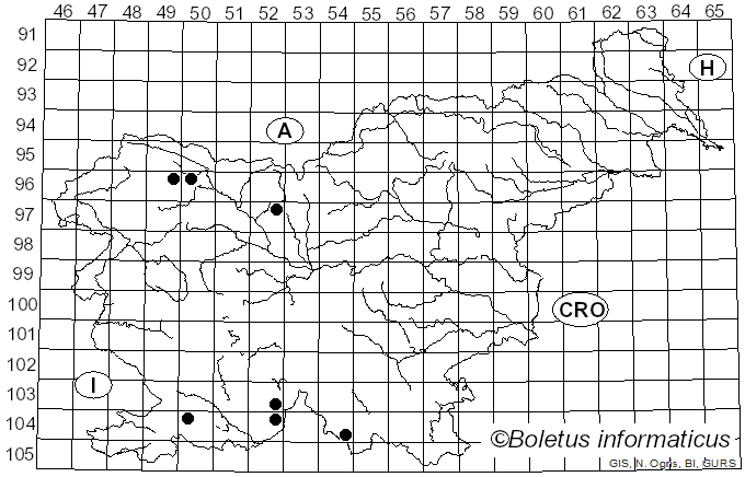 <i>Sarea</i> Fr. (1825)