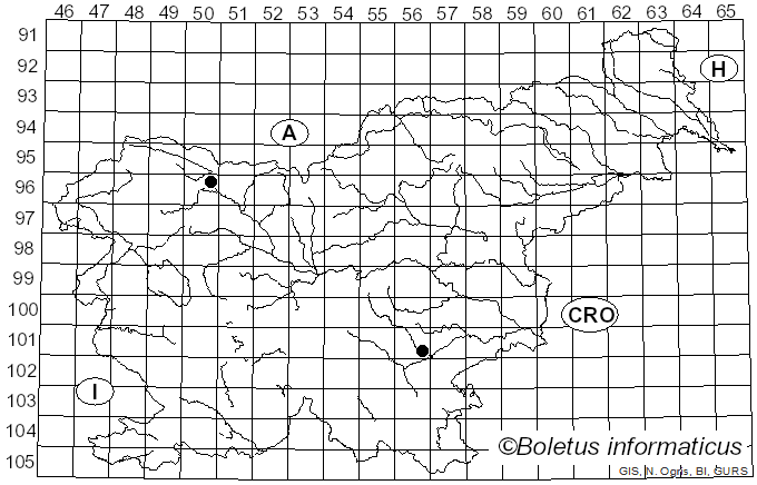 <i>Ramariopsis crocea</i> (Pers.) Corner (1950)