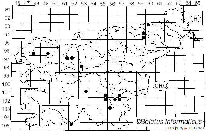 <i>Panellus mitis</i> (Pers.) Singer (1936)