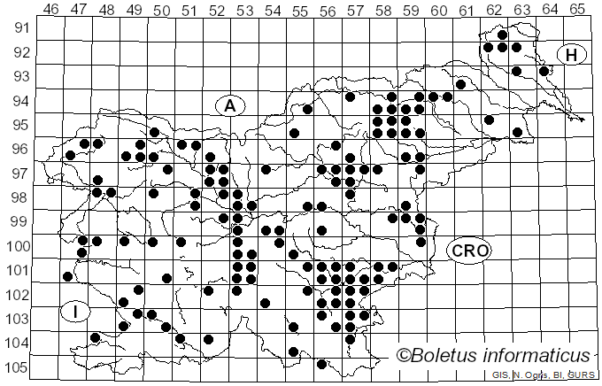 <i>Clavulina coralloides</i> (L.) J. Schröt. (1888)