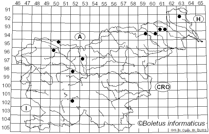 <i>Melogramma spiniferum</i> (Wallr.) De Not. (1863)