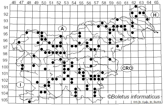 <i>Calocera cornea</i> (Batsch) Fr. (1827)