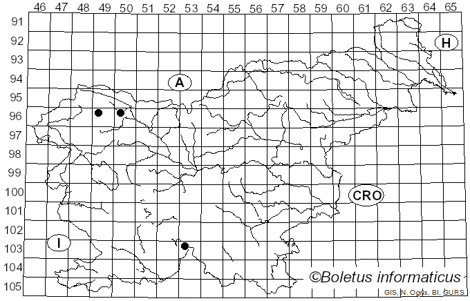 <i>Micarea adnata</i> Coppins (1983)