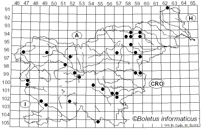 <i>Entoloma sericeum</i> (Bull.) Quél. (1872)