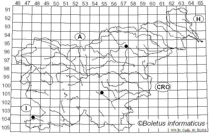 <i>Baorangia emileorum</i> (Barbier) Vizzini, Simonini & Gelardi (2015)