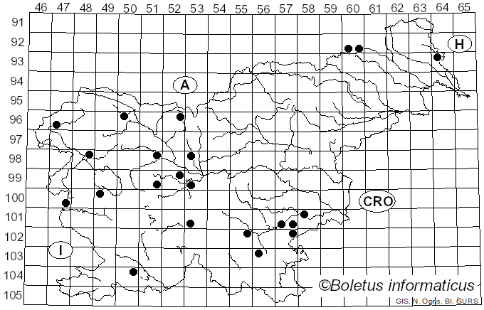 <i>Phlebia radiata</i> Fr. (1821)