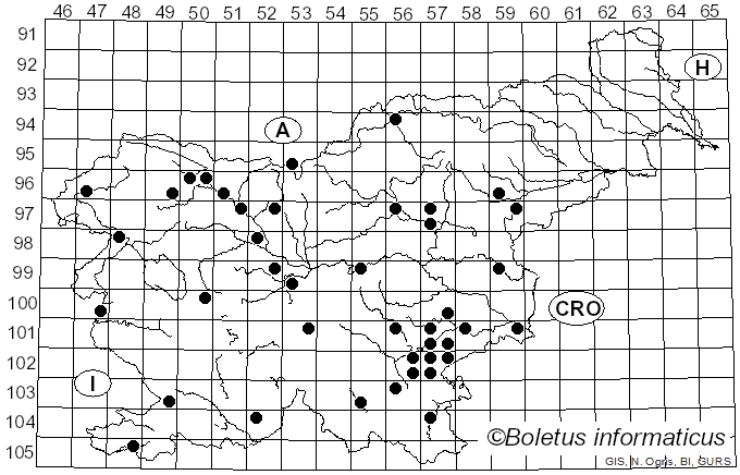 <i>Pluteus romellii</i> (Britzelm.) Lapl. (1895)