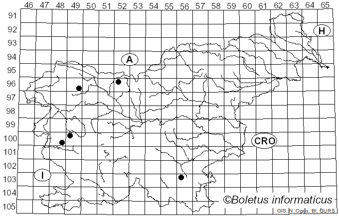 <i>Gymnopilus bellulus</i> (Peck) Murrill (1917)