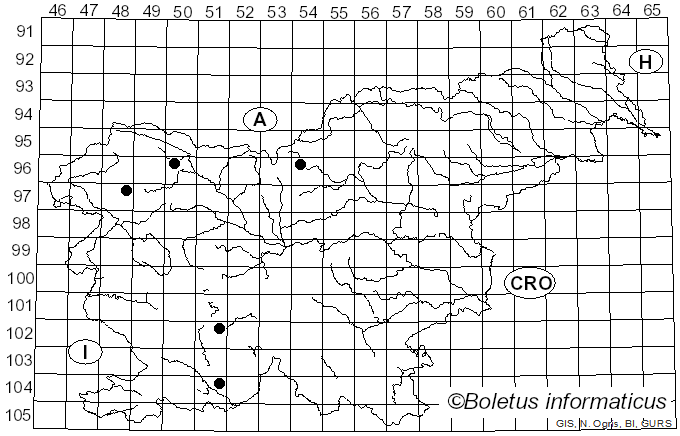 <i>Pipizella annulata</i> Macquart