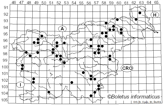 <i>Bovista nigrescens</i> Pers. (1794)