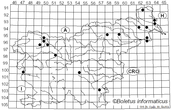 <i>Orbilia</i> Fr. (1849)