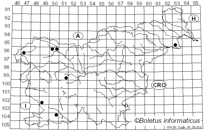 <i>Tulasnella</i> J. Schröt. (1888)