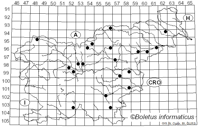 <i>Apiognomonia</i> Höhn. (1917)