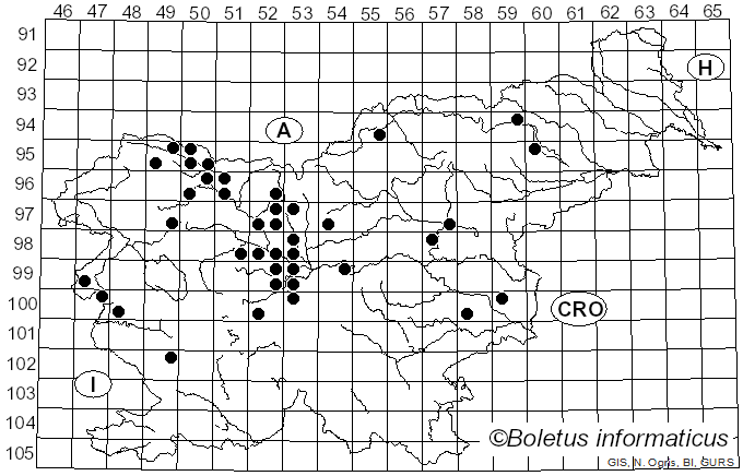 <i>Peronospora</i> Corda (1837)