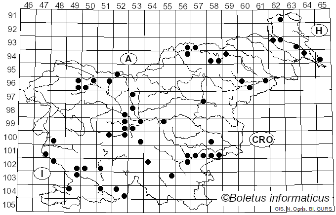 <i>Lophodermium</i> Chevall. (1826)