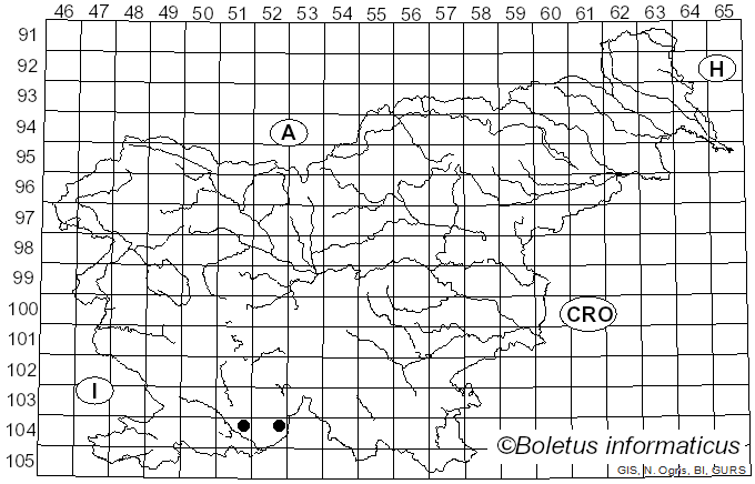 <i>Platycheirus immaculatus</i> Ohara