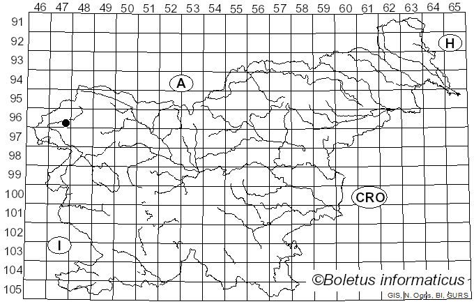 <i>Clitocybe trulliformis</i> var. <i>trulliformis</i> (Fr.) P. Karst. (1879)