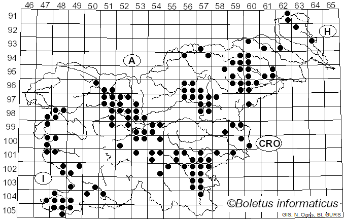 <i>Clathrus</i> P. Micheli ex L. (1753)